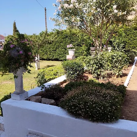 Oasis * Argostoli (Kefalonia)