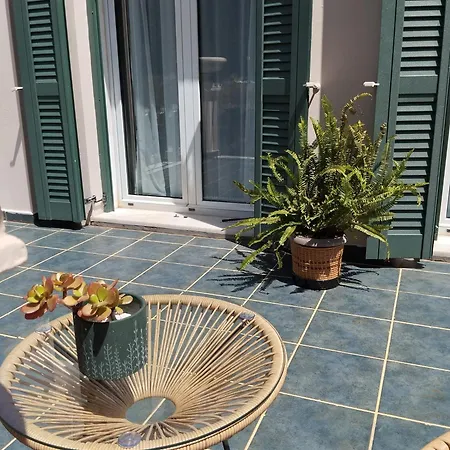 Oasis *