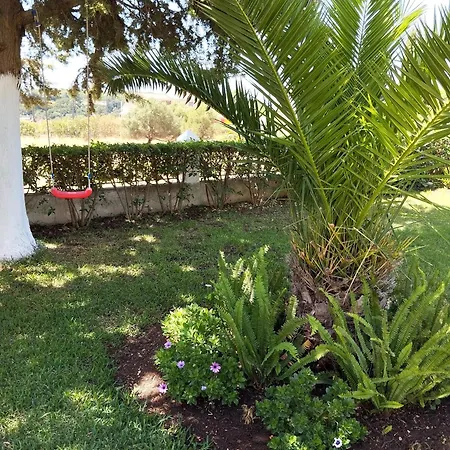 Oasis